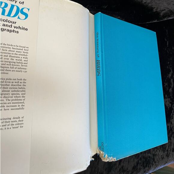 The Treasury of Birds | 1972 | Vintage Bird Book - Picture 2 of 10